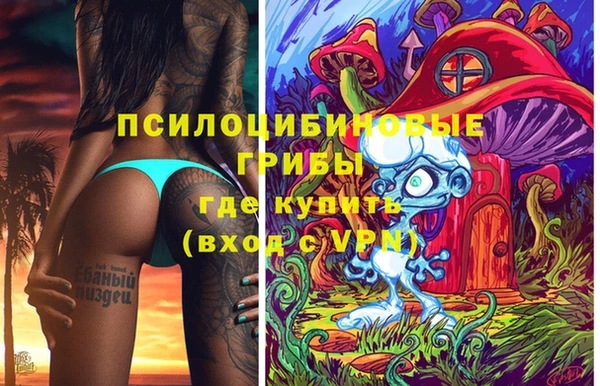 прущая мука Инта