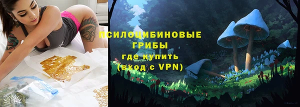 СК Инсар